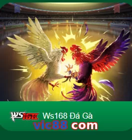 vic88 com